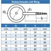 Eisenwaren2000 6 mm Wood Screw with Ring (Pack of 1)