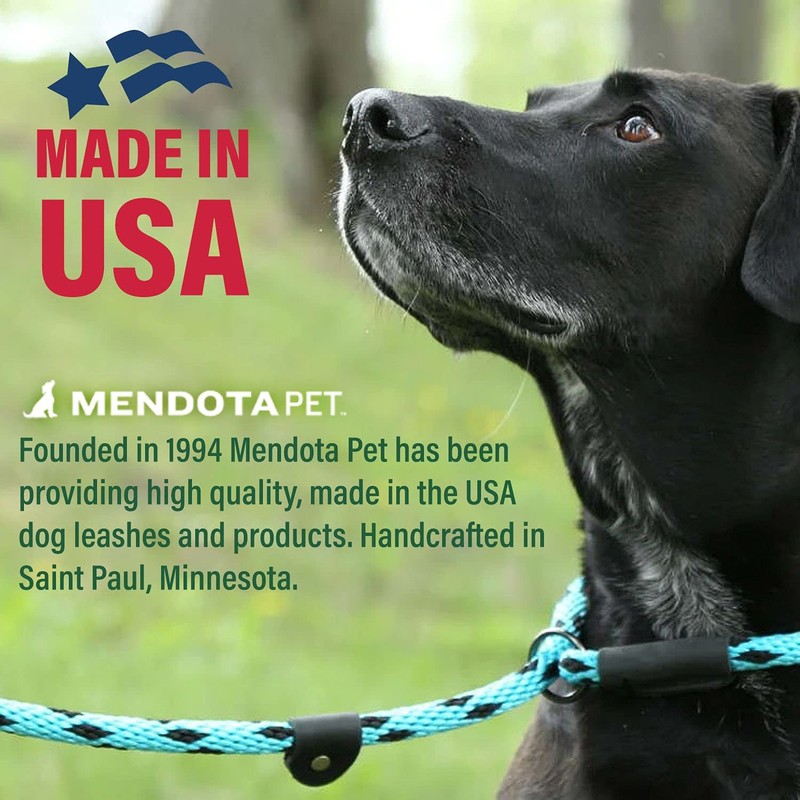 Mendota