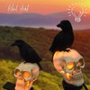 All Saint's Day Solar Powered Lights Skull Crow Pumpkin LED