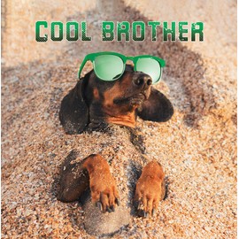 Noel Tatt Cool Brother Birthday Card - Dachshund in Sand - Eco-Friendly and Recyclable