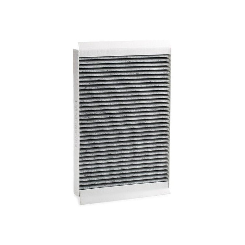 Ridex 424I0054 Interior Air Filter