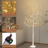 Seasonal Buddy Set of 2 6 feet Lighted Birch Tree,