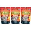 Higgins 3 Pack of Sunburst Song Food Singing Encouragement Treats