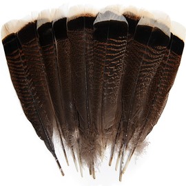 THARAHT 24pcs Natural Wild Turkey Tails Feathers Quill Bulk 12-14inch 30-35cm for DIY Crafts Project Collection Wedding Decoration Wild Turkey Tails Feather