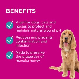 PAW by Blackmores Manuka Wound Gel for Dogs, Cats and Horses | Medical Grade Wound Dressing | 25g