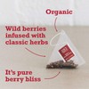 Joe's Tea Co. The Berry Best (3x15ct) - Organic Fruit