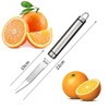 Setaria Viridis Stainless Steel Serrated Grapefruit Knife, 3.9 inches, Silver,