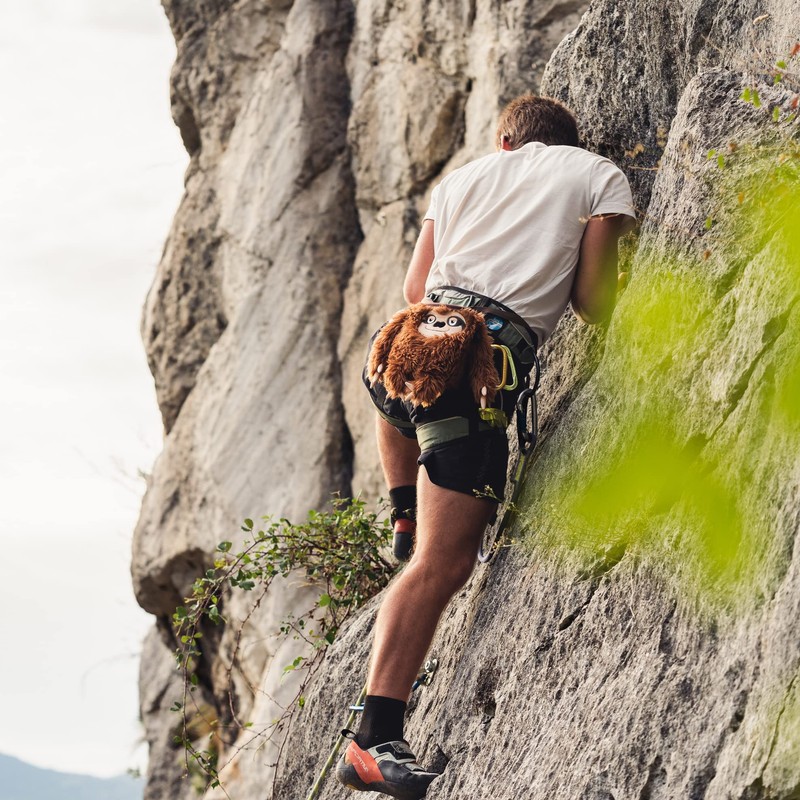YY Vertical Sloth Rock Climbing Chalk Bag, Perfect for Both