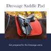 LeMieux Dressage Junior Loire Saddle Pad - English Saddle Pads