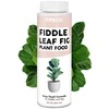 Fiddle Leaf Fig Plant Food for All Fig and Other