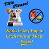 Faster Catch Mouse Trap Attractant Bait, Stays Fresher Than Peanut
