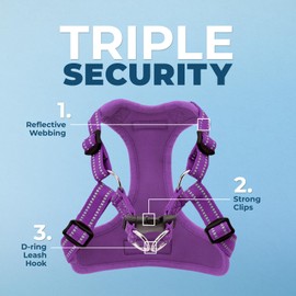 Best Pet Supplies Voyager Adjustable Dog Harness Leash Set with Reflective Stripes for Walking Heavy-Duty Full Body No Pull Vest with Leash D-Ring, Breathable All-Weather - Harness (Purple), M
