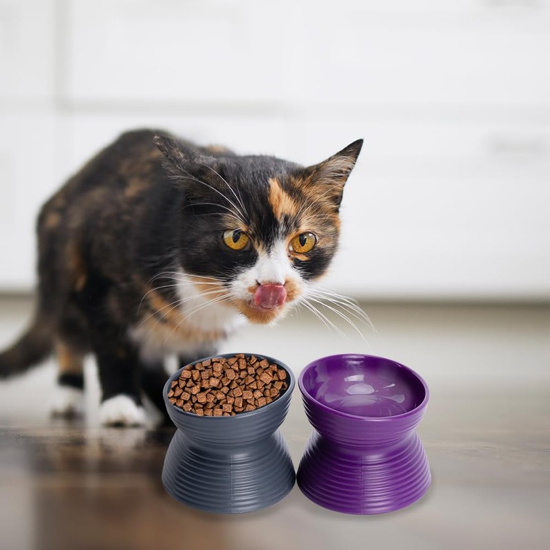 Fancy Pets Set de 2 Platos para Gatos Inclinados y