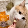 HOLI Freeze Dried Chicken Dog Treats - 100% All Natural
