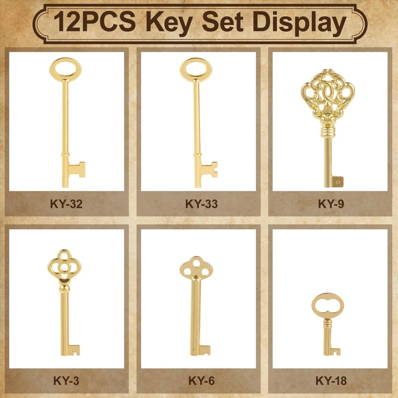 12PCS Hollow Barrel Skeleton Key, Universal Barrel Key Replacement, Generic