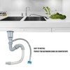 Stainless Steel Sink Drain Assembly with Cage S Bend Hose