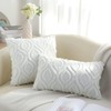 decorUhome Set of 2 FurCushion Covers 30 x 50 cm