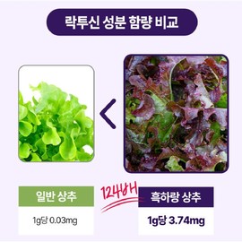 Heukharang Lettuce Powder Domestic Deep Sleep Nutrition Supplement 100 tablets 2 packs discount price / 흑하랑 상추분말 정 국산 숙면 꿀잠 영양제 100정 2개 할인가