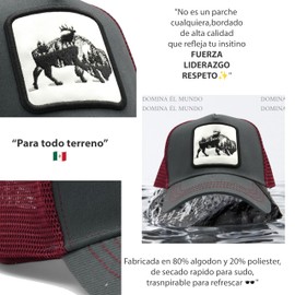 Gorra de Hombre Beisbol Visera Curva Parche Animales Trucker Camionero Malla Transpirable Ajustable y Juvenil para Deportes Aire Libre, Regalo Unisex, Accesorio Moda (MX/US, Alfa, Talla única, ROJO)