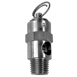 Stainless Steel Safety Relief Valve ASME, UV, NB, 1/4" Male NPT Made in USA (175 PSI)