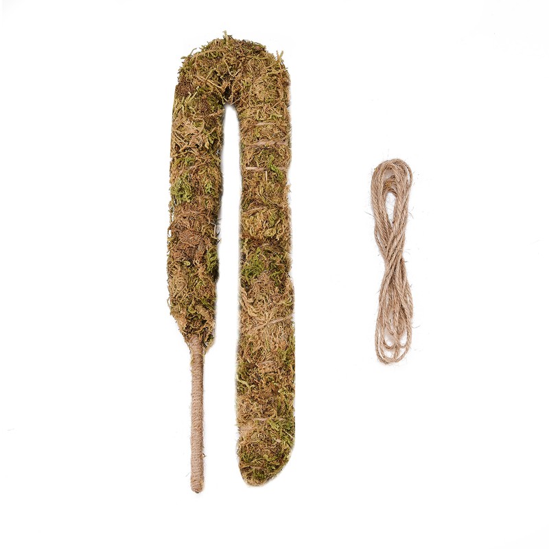 Moss Pole Coconut Stick DIY Modeling Plant Climbing Pole Climbing