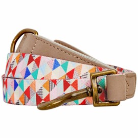 Blueberry Pet Shades of Rainbow Multicolor Triangles Polyester Fabric Webbing and Soft Genuine Leather Dog Leash with Soft & Comfortable Handle, 4 ft x 3/4", Leashes for Dogs