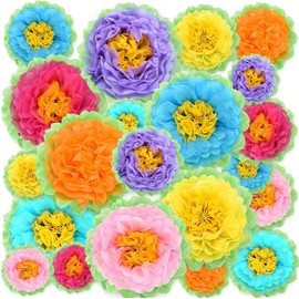 21 PCS Paper Flowers, Colourful Paper Pom Poms for Party Decoration, Fiesta Tissue Paper Flower Decoration for Wall Carnival Hawaiian Theme Party Backdrop Decor Centerpiece Wedding Birthday