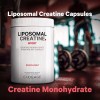 Codeage Liposomal Creatine Monohydrate Capsules 3000mg, 3-Month Supply, 360 ct
