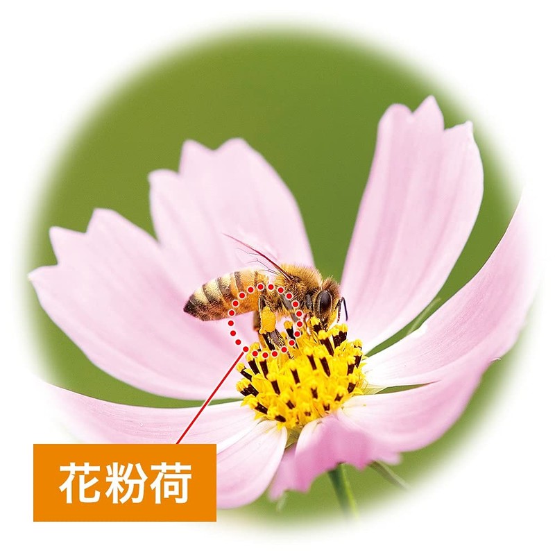 Yamada Beekeeba, Pollen, 7.1 oz (200 g) Bag, Pollen, Vitamin,