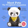 Weighted Anxiety Comfort Animal – 5 lb Panda Calming Plush
