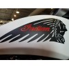 INDIAN CHALLENGER MOTORCYCLE FUEL TANK SIDE SCRIPT DECAL, STICKER, EMBLEM