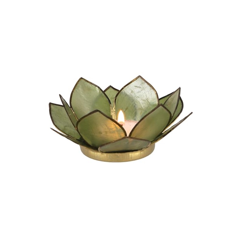 GURU SHOP Lotus Tea Light Shell 11 x 4 cm