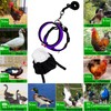 Yesito Adjustable Chicken Harness Diaper (5.4ft Leash) – Breathable &