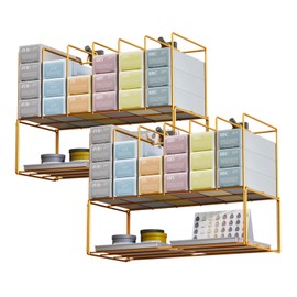 WHXGG 2 Pack Hair Color Organizer Hair Color Display Rack Wall Mounted Dye Storage Racks for Salon Storage Rack Hairs Dye Tube Storage Display Rack for Stylists Spa Beauty Home, Gold
