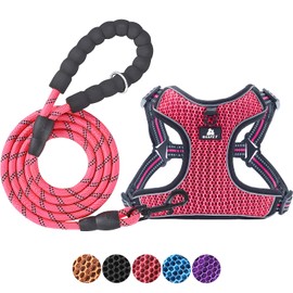 BAAPET Breathable Dog Harness for Small Puppy, Medium Dogs Step-in and Air Mesh with 6 Feet Reflective Rope Dog Leash (S - 6 FT x Chest (17~19''), Pink)