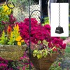 MOLIGOU 1/12" Black Metal Hanging Chain Roll, 33ft Light Duty