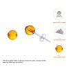 Genuine Baltic Amber Small Stud Ball Earrings for Women in