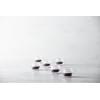 Fortessa Jupiter Glass, 3 Ounce Espresso Cup (Set of 6),