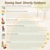 Outsidepride 25 Seeds Oyster Plant Leaf Seeds for Planting Indoors