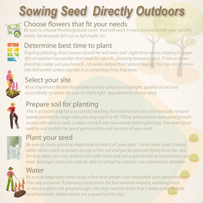 Outsidepride 25 Seeds Oyster Plant Leaf Seeds for Planting Indoors