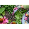 Burgon & Ball RHS Gift Planting Trowel and Dibber Asteraceae