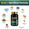 Dynamic Vitality Bundle - Sea Moss Multivitamin & Shilajit Power