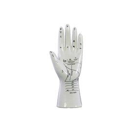 Urban Trends Ceramic Palmistry Hand Decor Gloss Finish, White