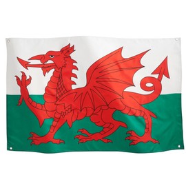 Runesol Wales Flag, 91 x 152 cm (3 x 5 ft), Welsh Dragon Flag, 4 Eyelets, Brass Eyelet in Each Corner, Football, Six Nations Rugby, Premium Flags for Indoor and Outdoor Use, Vibrant Colours