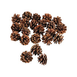 Fun Express Bulk Ba of Real Pinecones - Bulk Set of 24 Natural Pine Cones - Crafts Supplies