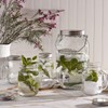 Mason Craft & More Drinkware Collection- Durable Glass Leak Proof