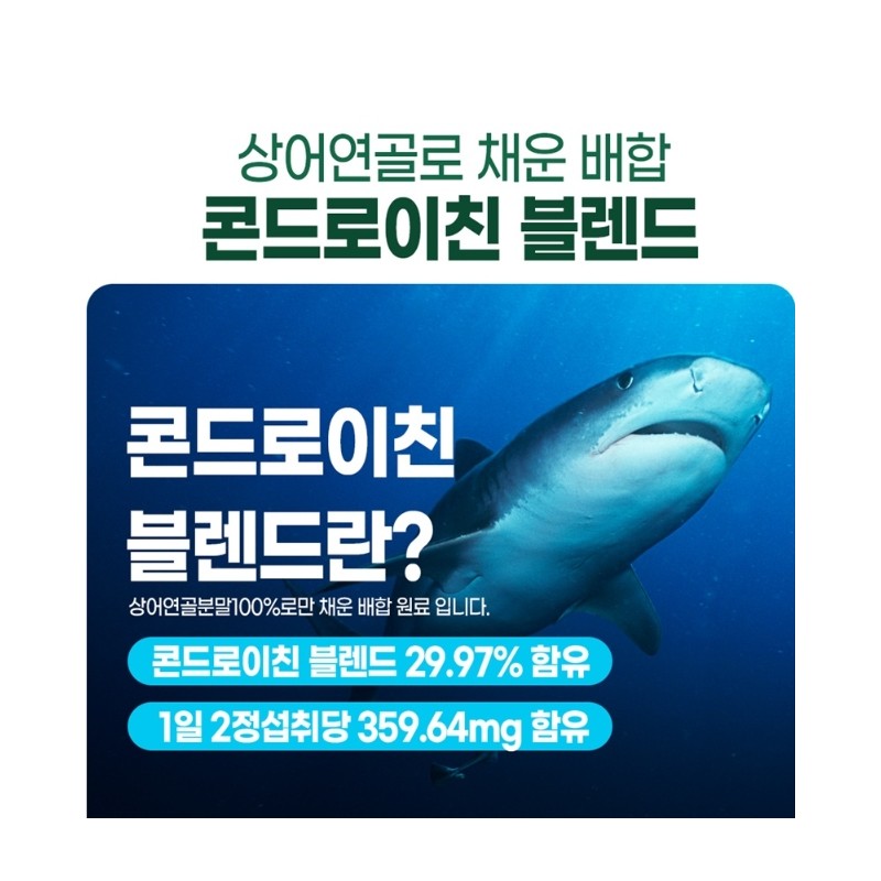 MBP Chondroitin 1200 MBP Chondroitin 3 months / MBP 콘드로이친
