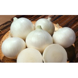 HeirloomSupplySuccess 100 Heirloom Sweet Spanish White Onion Seeds
