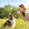 MAQUITA 20 Pack Dog Scent Work Tins Dog Scent Training