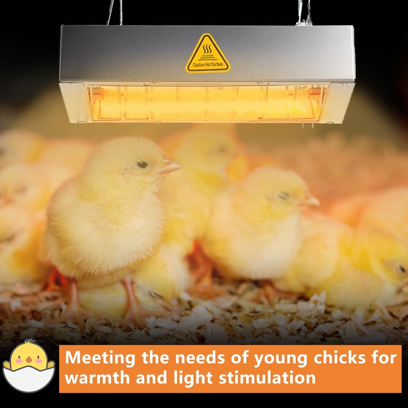 Chicken Coop Heater for Winter, Heat Lamp for Chickens 400W,